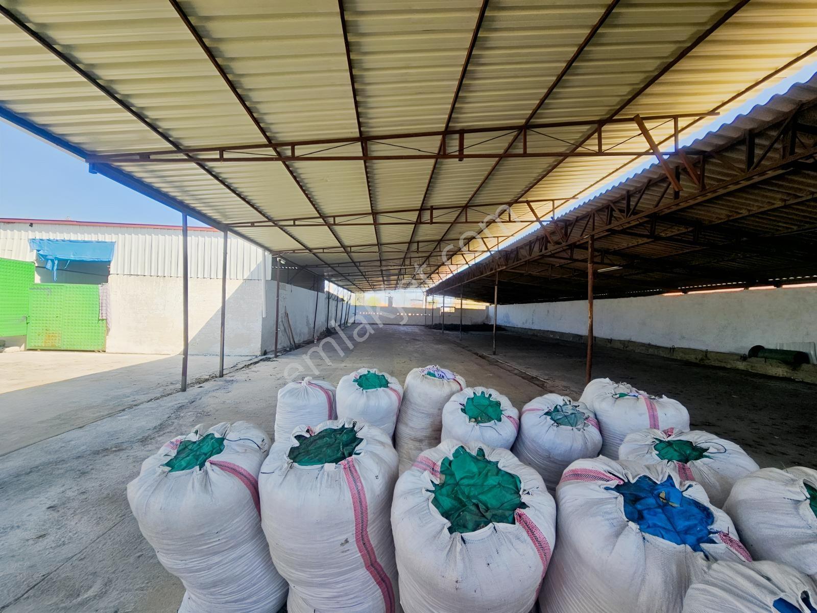 Söke Sarıkemerde Satılık 1061 M² Arsa Ve Depo - Görsel 9