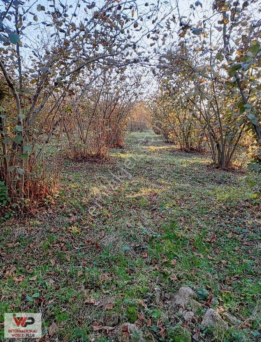 Sakarya Kaynarca Büyükyanık Da Satılık 940 M2 Arsa - Görsel 8