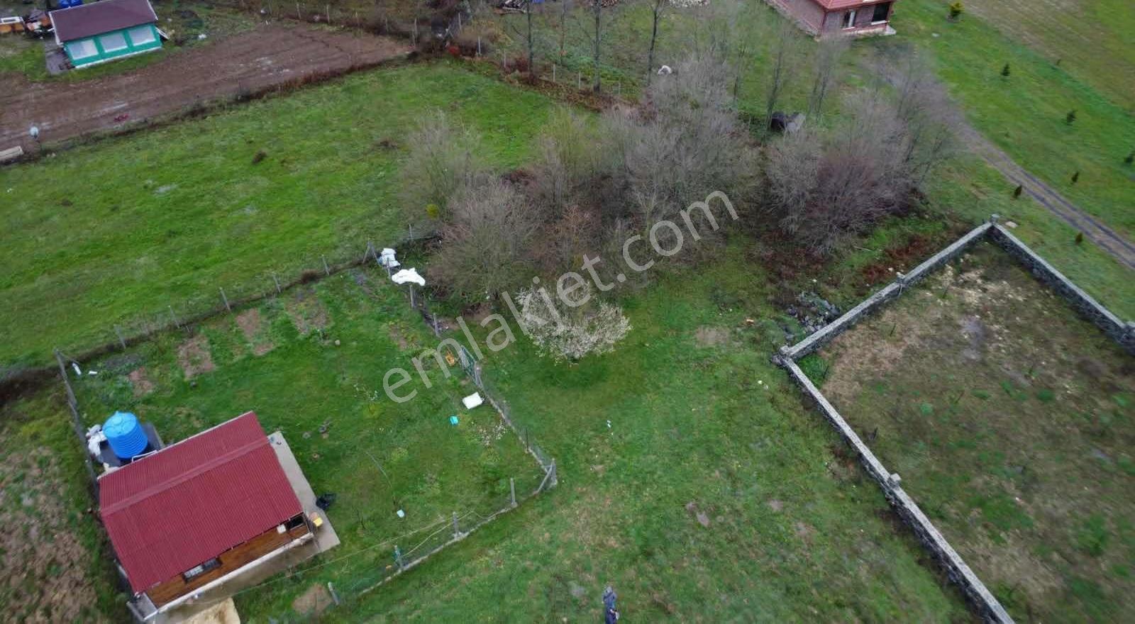 Çatalca Fatih'te 470 M2 Hobi Bahçesi - Görsel 8