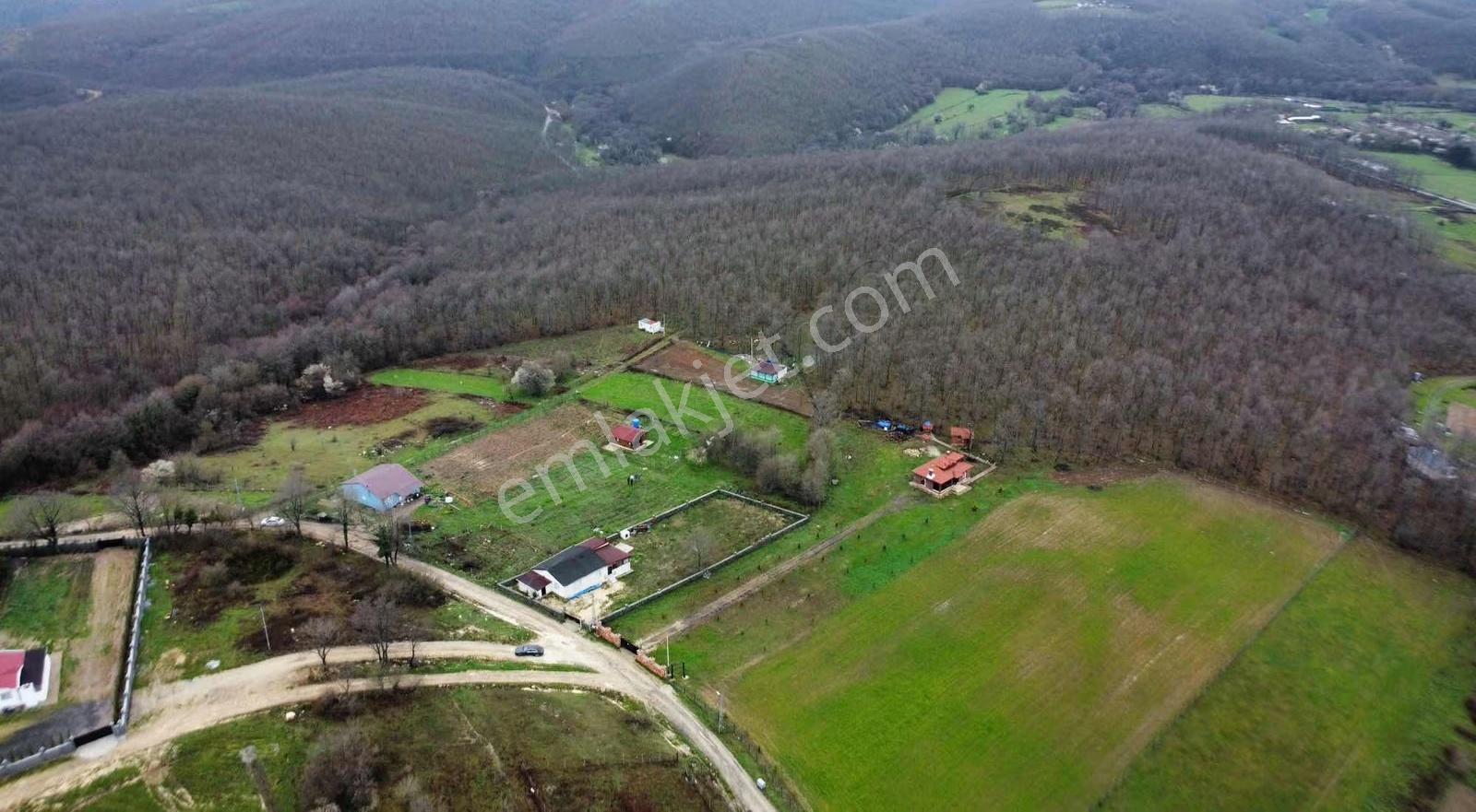 Çatalca Fatih'te 470 M2 Hobi Bahçesi - Görsel 10