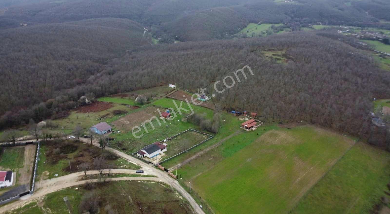 Çatalca Fatih'te 470 M2 Hobi Bahçesi - Görsel 14