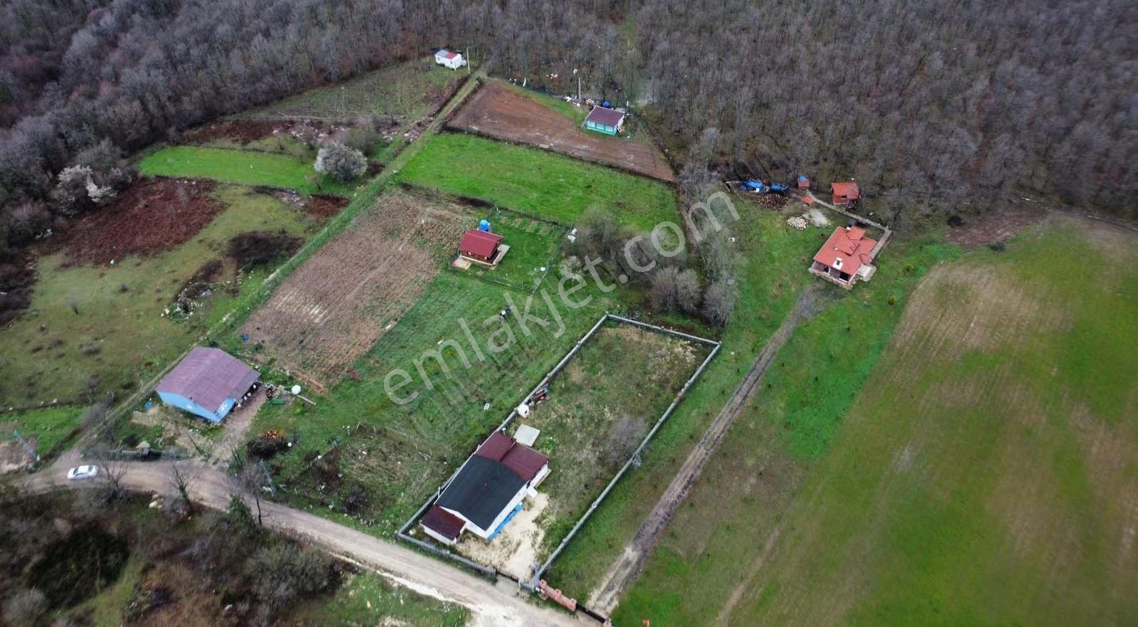 Çatalca Fatih'te 470 M2 Hobi Bahçesi - Görsel 5
