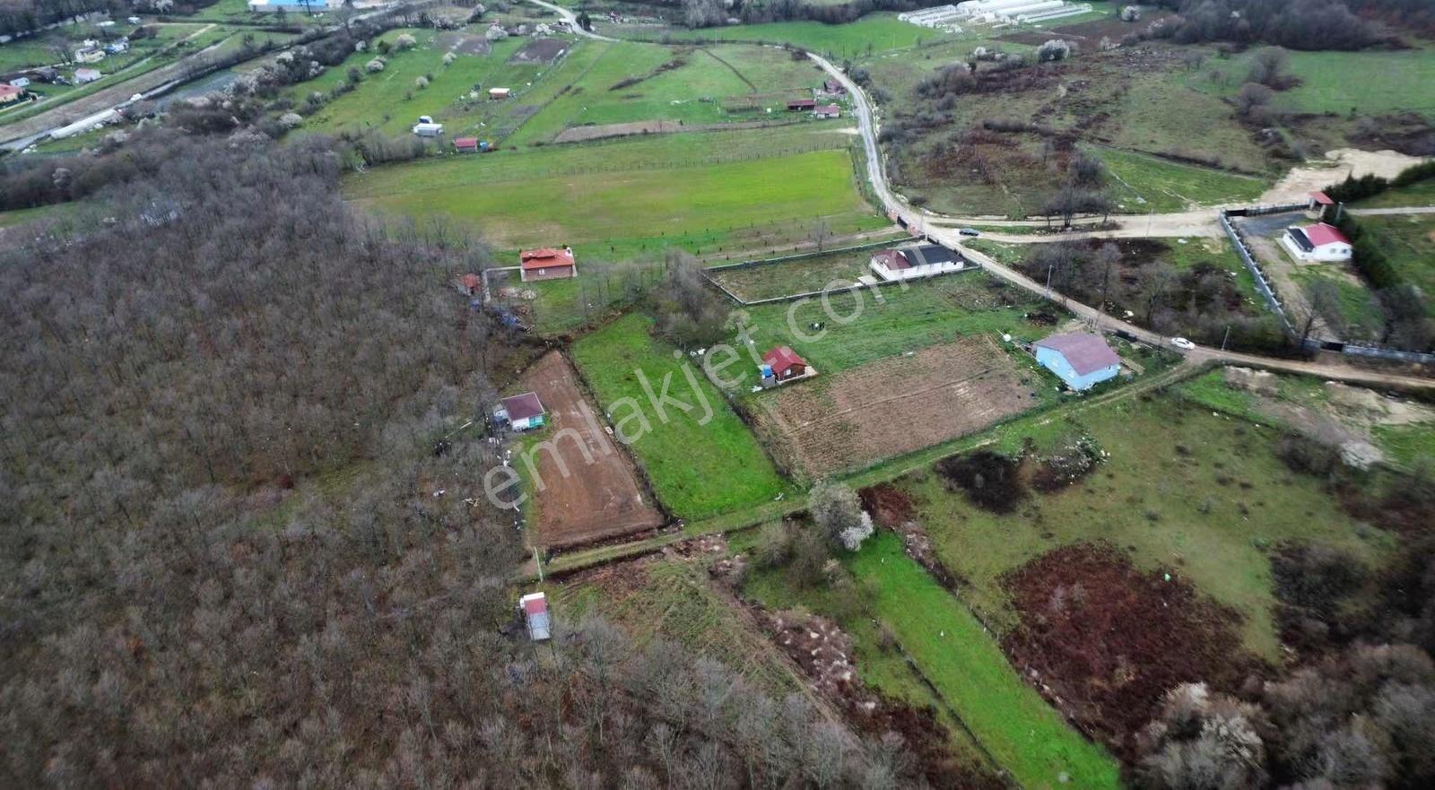 Çatalca Fatih'te 470 M2 Hobi Bahçesi - Görsel 29