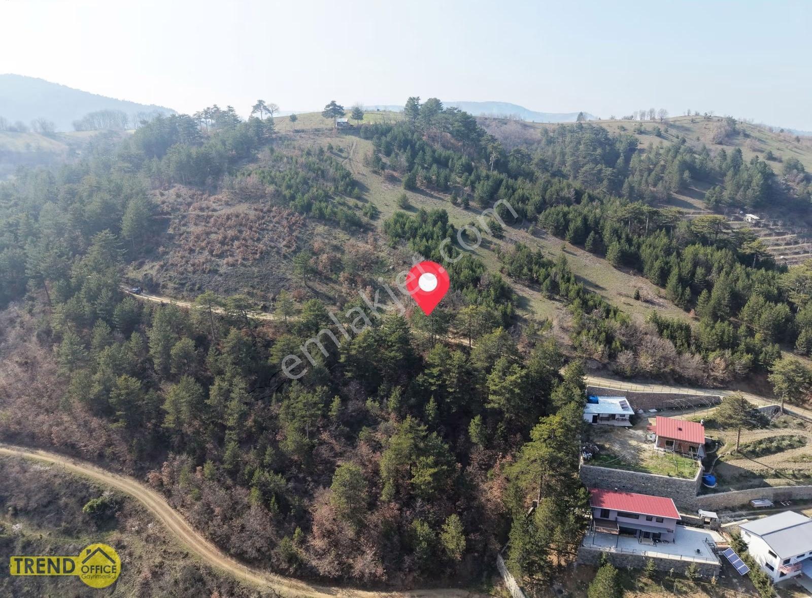 Osmangazi Uluçam Mah. Yola Cephe 1288 M2 Satılık Manzaralı Tarla - Görsel 4