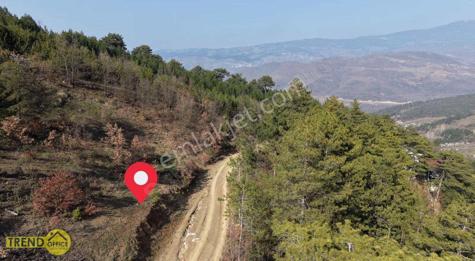 Osmangazi Uluçam Mah. Yola Cephe 1288 M2 Satılık Manzaralı Tarla - Görsel 5