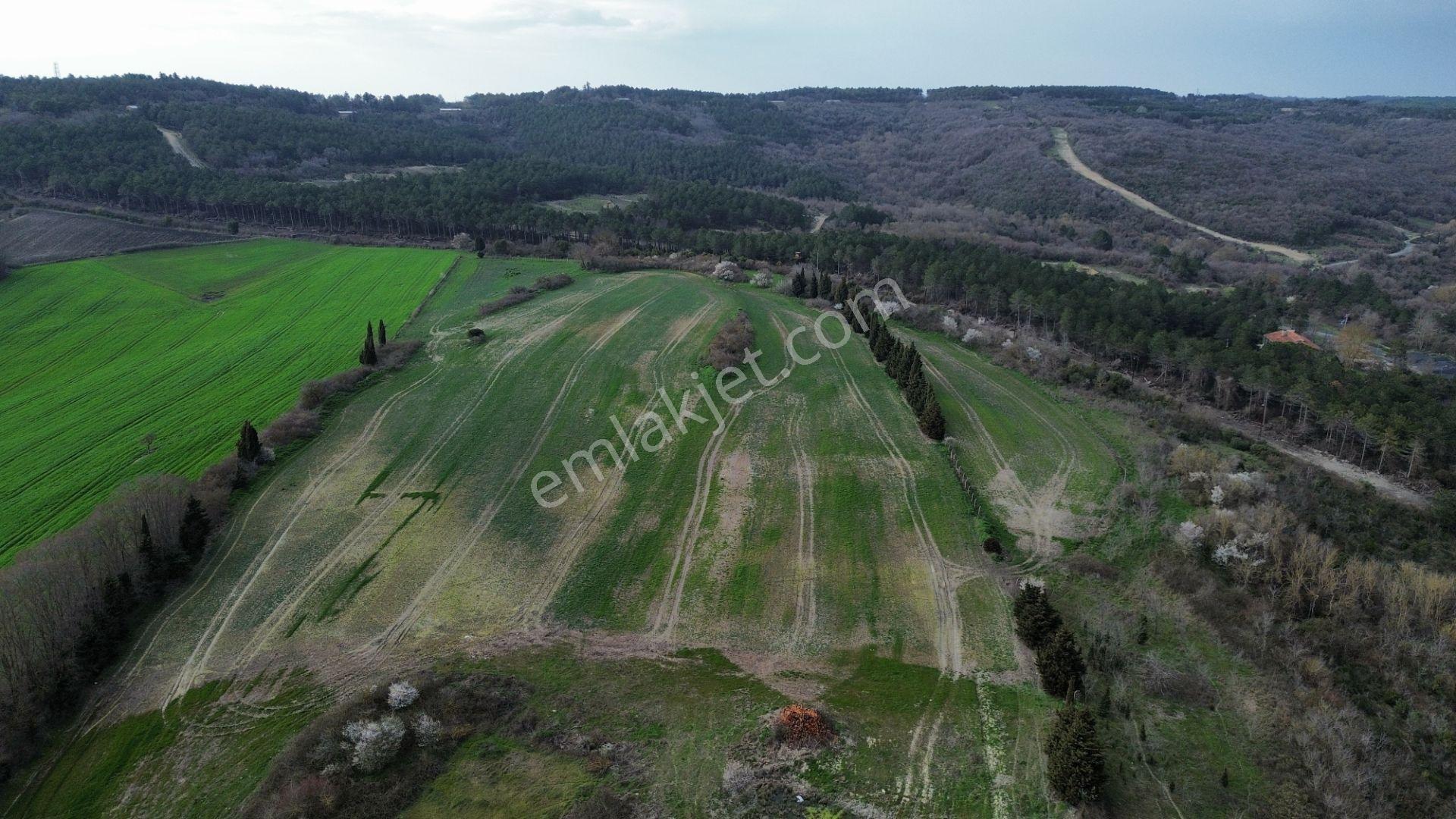 Çatalca Örcünlüde 11.390 M² Yatırımlık Tarla - Görsel 4