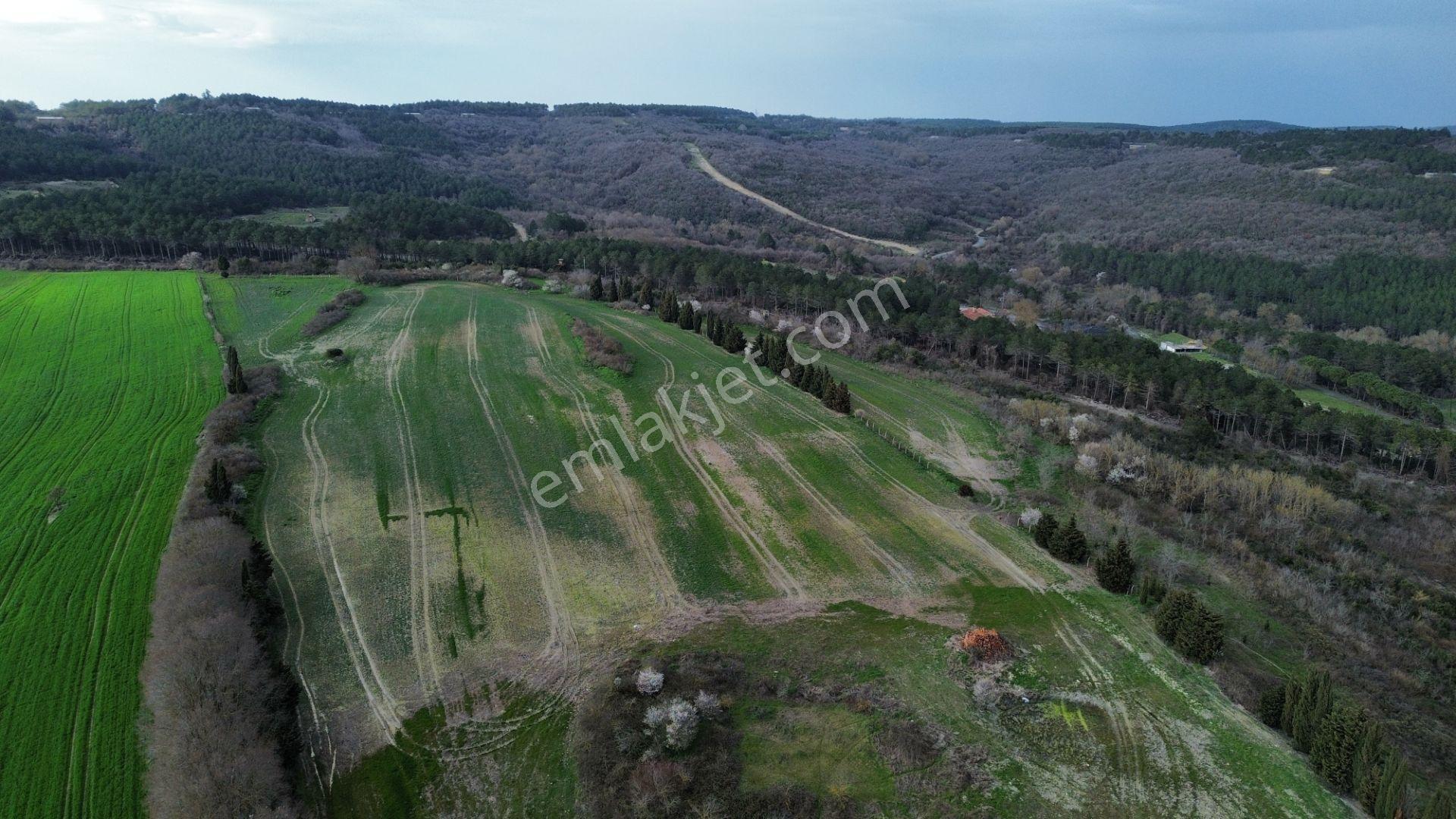 Çatalca Örcünlüde 11.390 M² Yatırımlık Tarla - Görsel 13