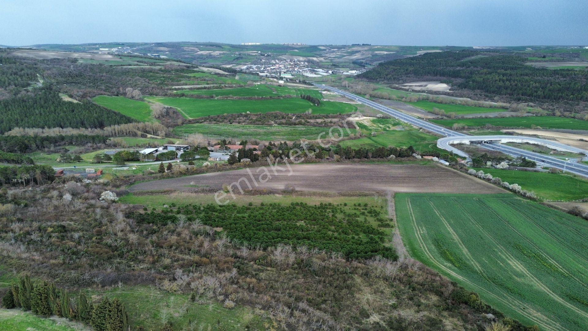 Çatalca Örcünlüde 11.390 M² Yatırımlık Tarla - Görsel 11
