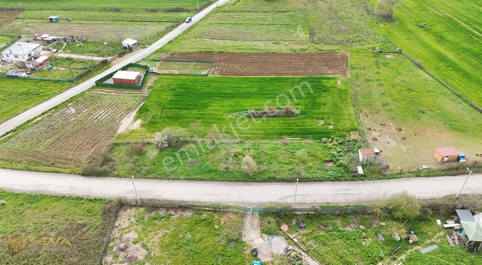 Sakarya 15temmuz Camili Mah. Satılık 1106 M2 Tarla - Görsel 9