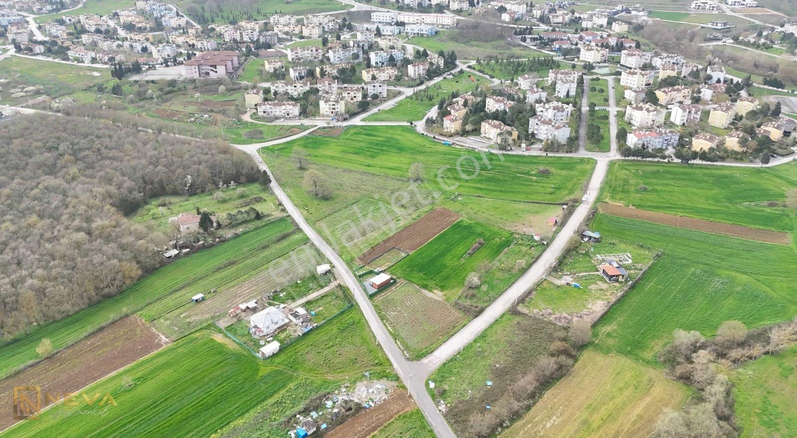 Sakarya 15temmuz Camili Mah. Satılık 1106 M2 Tarla - Görsel 11