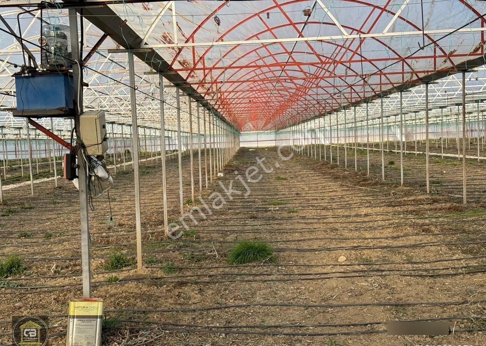 Zümrütov Mah. 2 Katlı Evi Olan 9.070 M² Sera Satılıktır - Görsel 4