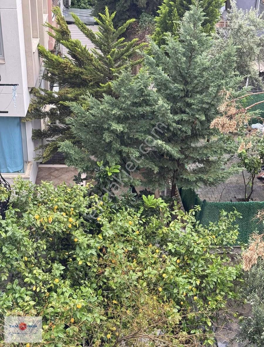 Agora Avmye Yürüme Mesafesinde | 3 Balkonlu, Geniş, Ferah 3+1 - Görsel 17