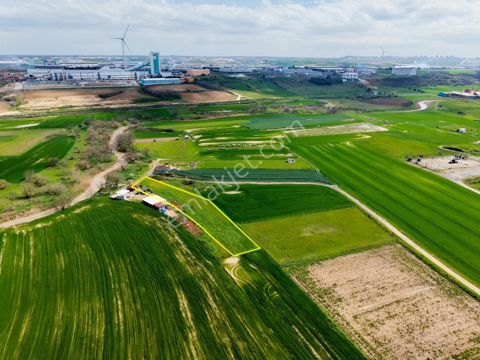 Tekirdağ Ergene Yulaflıda Satılık 2773 M² Tarla - Görsel 2