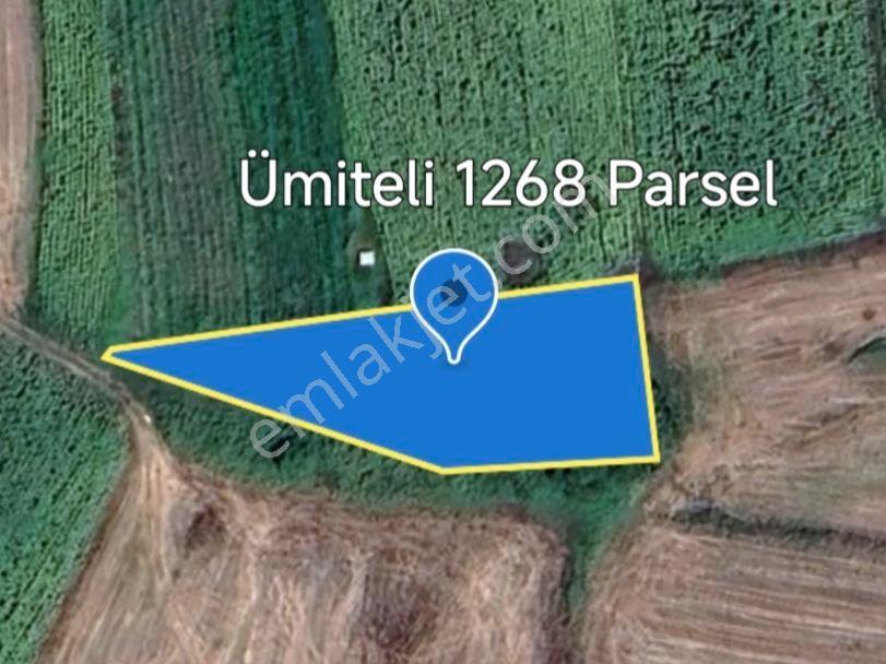 Rt Safir'den Satılık Müstakil Tapu T - Görsel 11