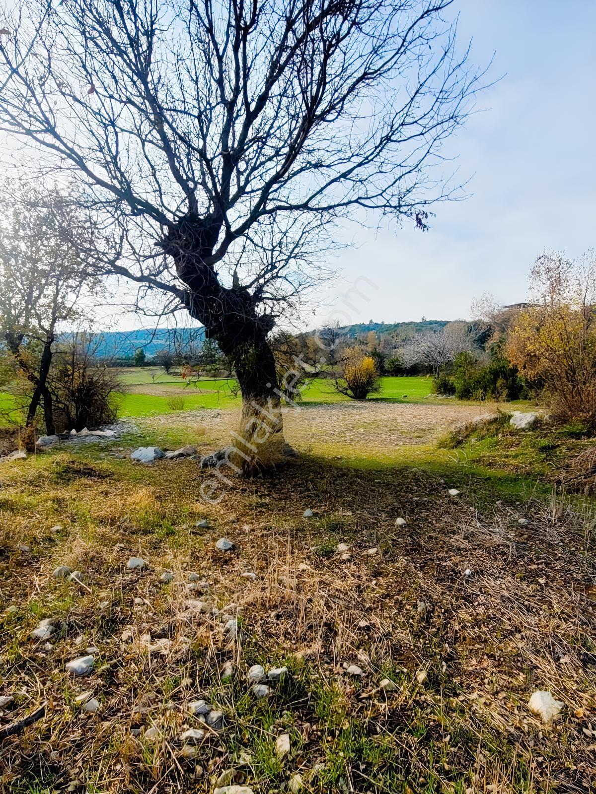 Asya 'dan Tarsus Beylicede Tek Tapu Parsel - Görsel 11