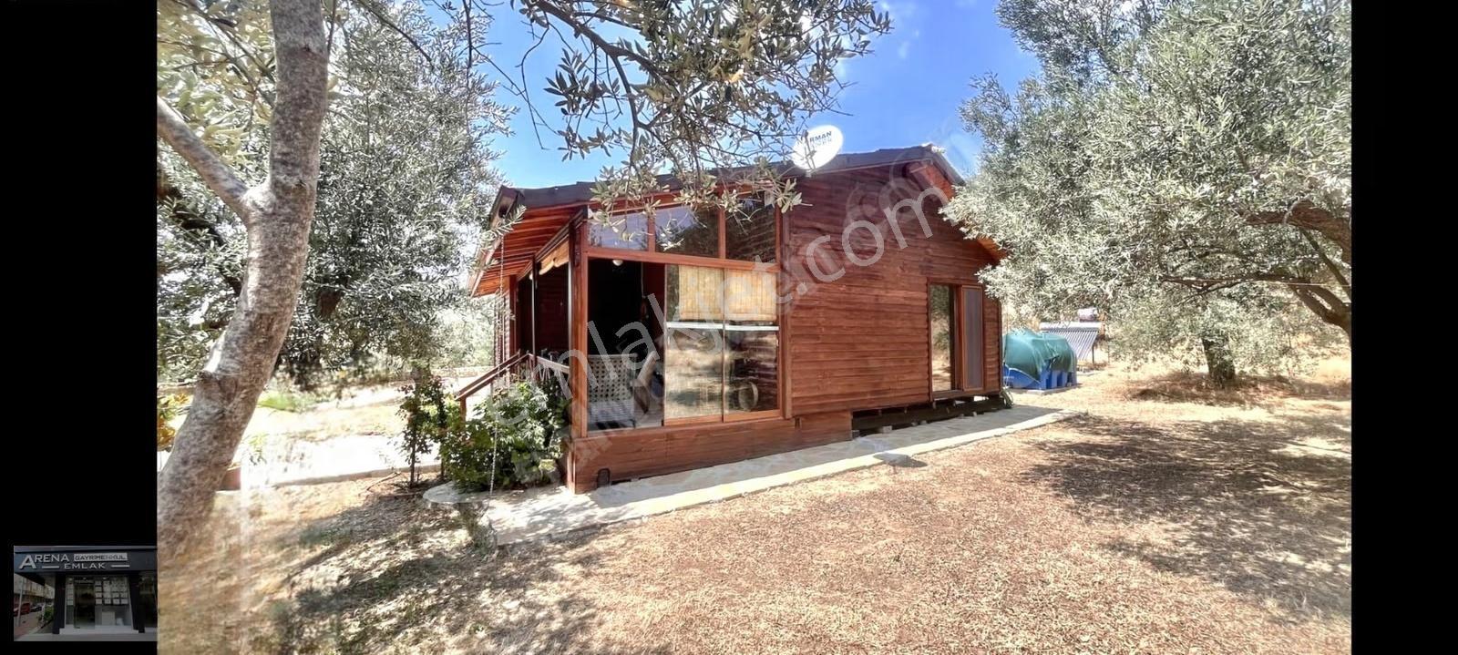 Ayvacık Arıklı'da Deniz Yakını 3.358m² Zeytinlik İçinde Ev - Görsel 13
