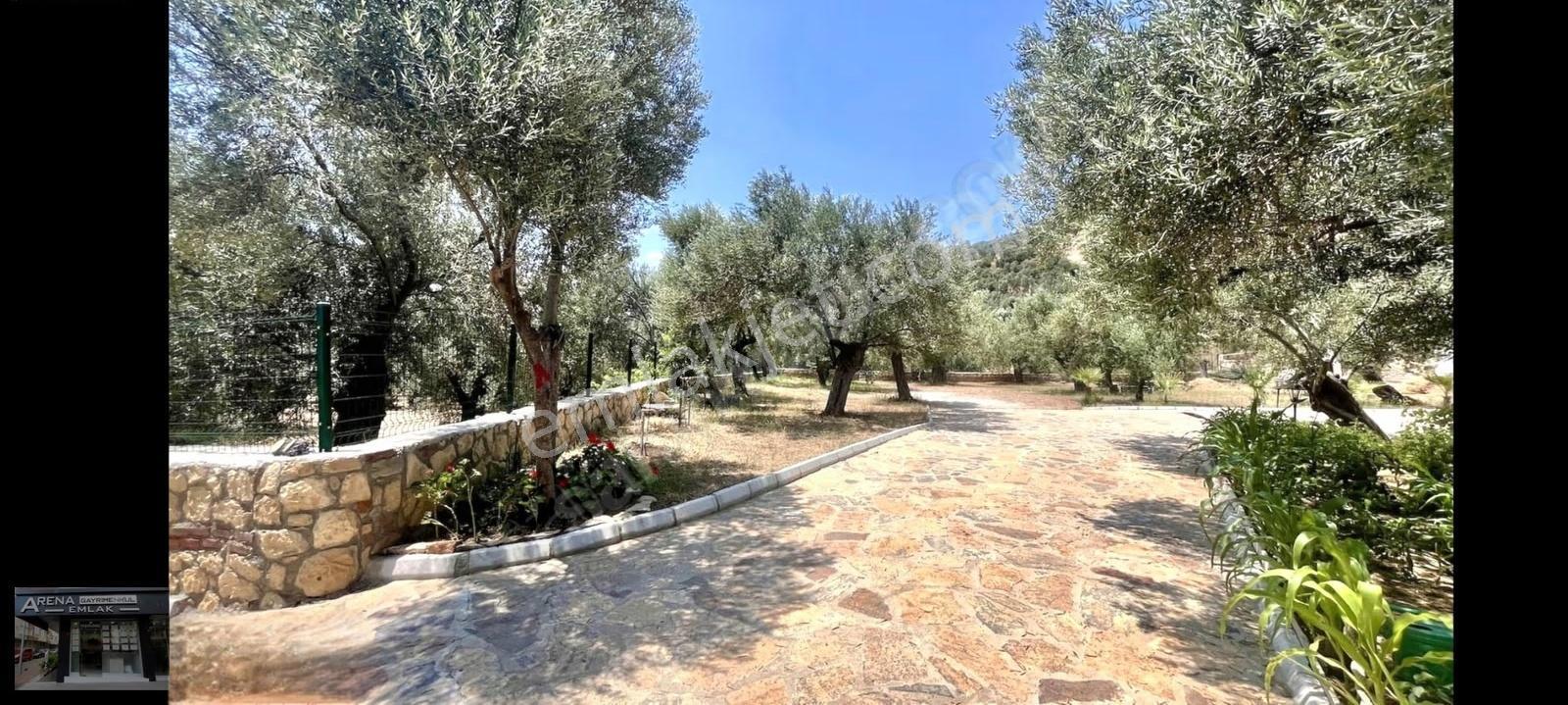 Ayvacık Arıklı'da Deniz Yakını 3.358m² Zeytinlik İçinde Ev - Görsel 15