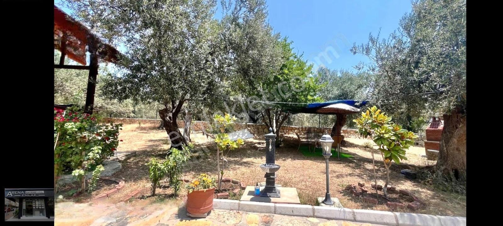 Ayvacık Arıklı'da Deniz Yakını 3.358m² Zeytinlik İçinde Ev - Görsel 7