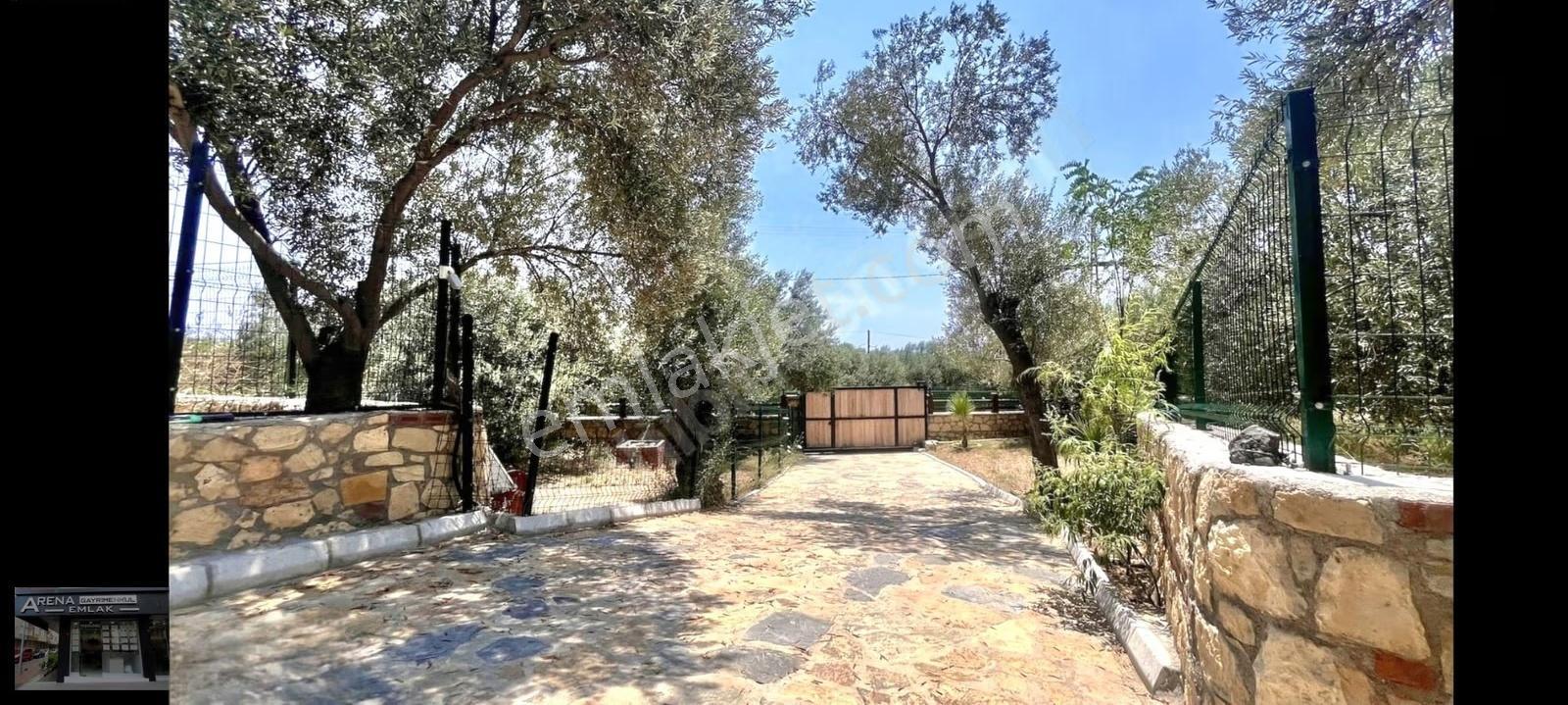 Ayvacık Arıklı'da Deniz Yakını 3.358m² Zeytinlik İçinde Ev - Görsel 29