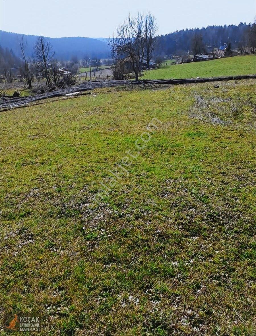 Kırıntı Mah. 755 M2 İmarlı İkiye Bölünebilen Satılık İmarlı Arsa - Görsel 3