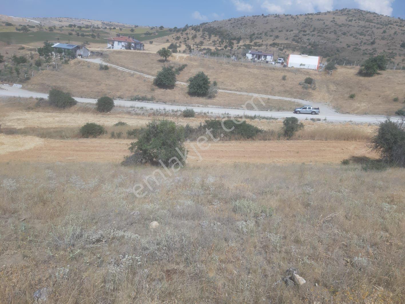 Temelli Hisarlıkaya Yola Cephe Satılık Bağ - Görsel 4