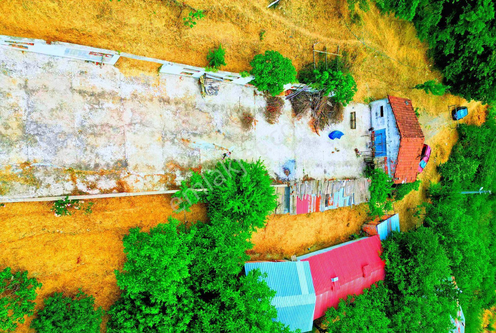 Sakarya Geyve Akıncı Mahallesinde Satılık Çiftlik - Görsel 2