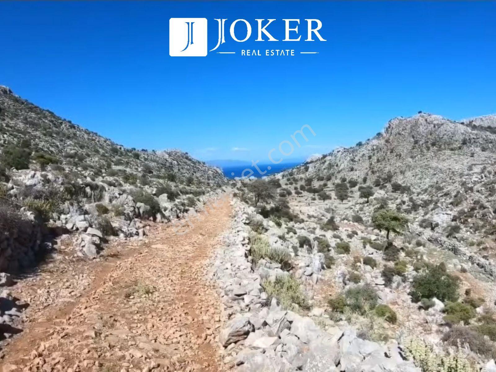Joker: Marmaris Taşlıca Denize 700 Metre Yakınlıkta Tarla - Görsel 7