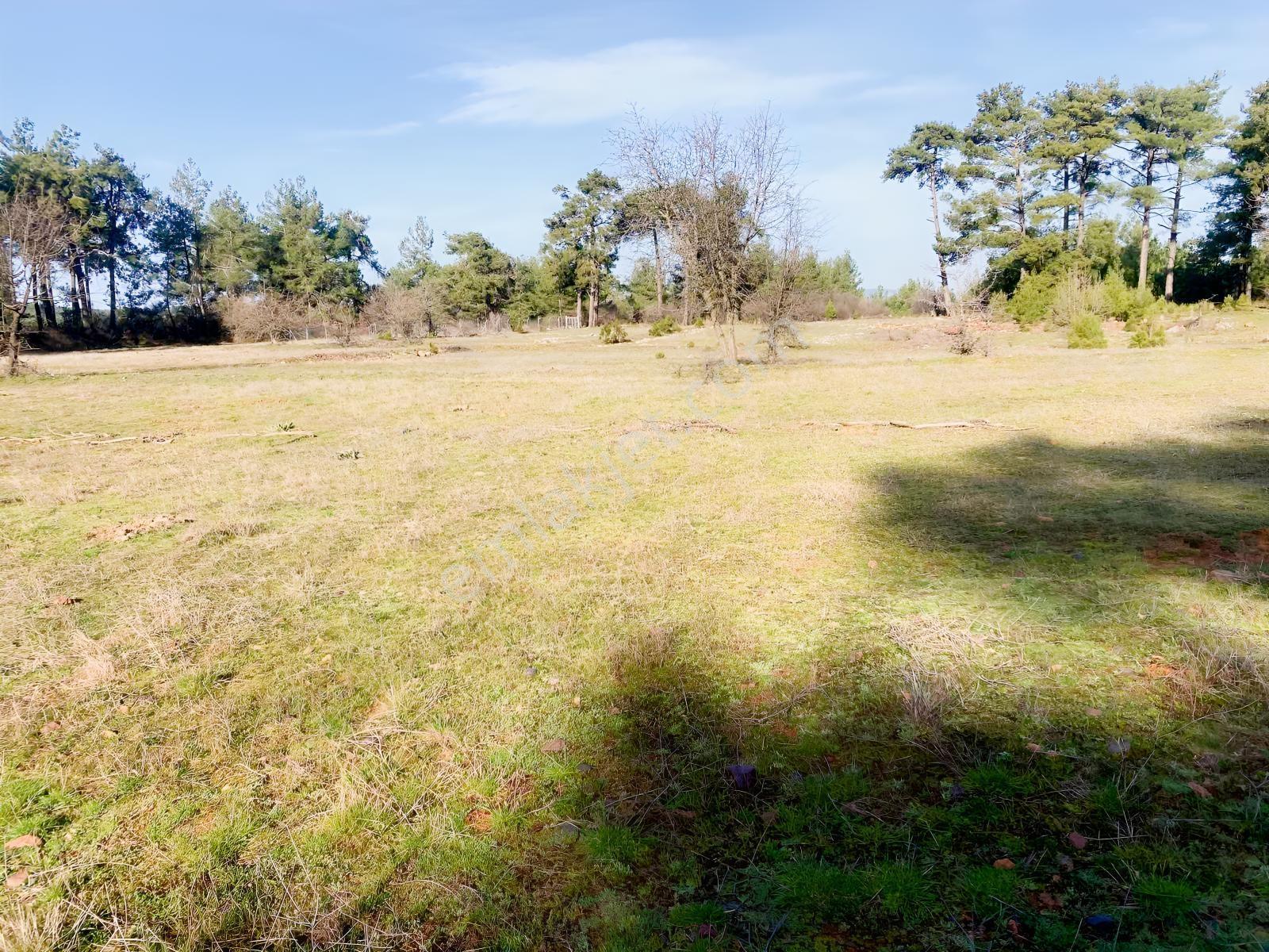 Muğla Menteşe Kuyucak'ta 1430m2 Satılık Tarla - Görsel 5