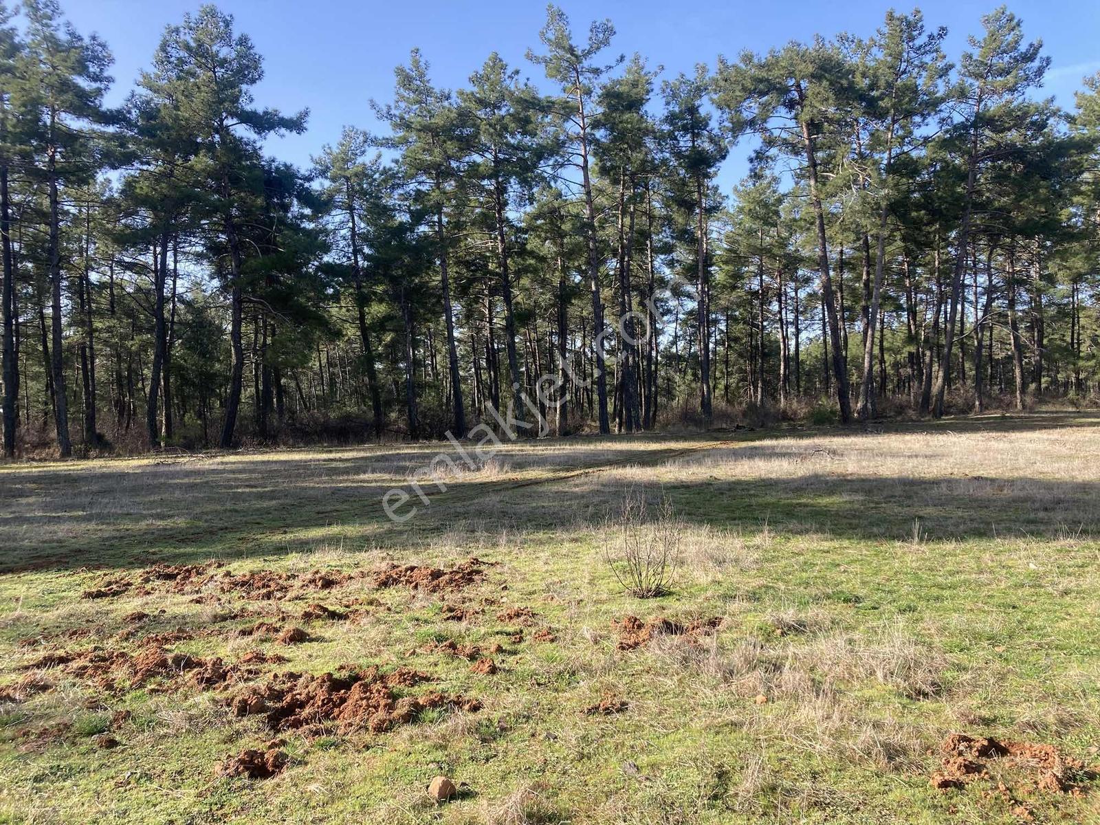 Muğla Menteşe Kuyucak'ta 1430m2 Satılık Tarla - Görsel 18