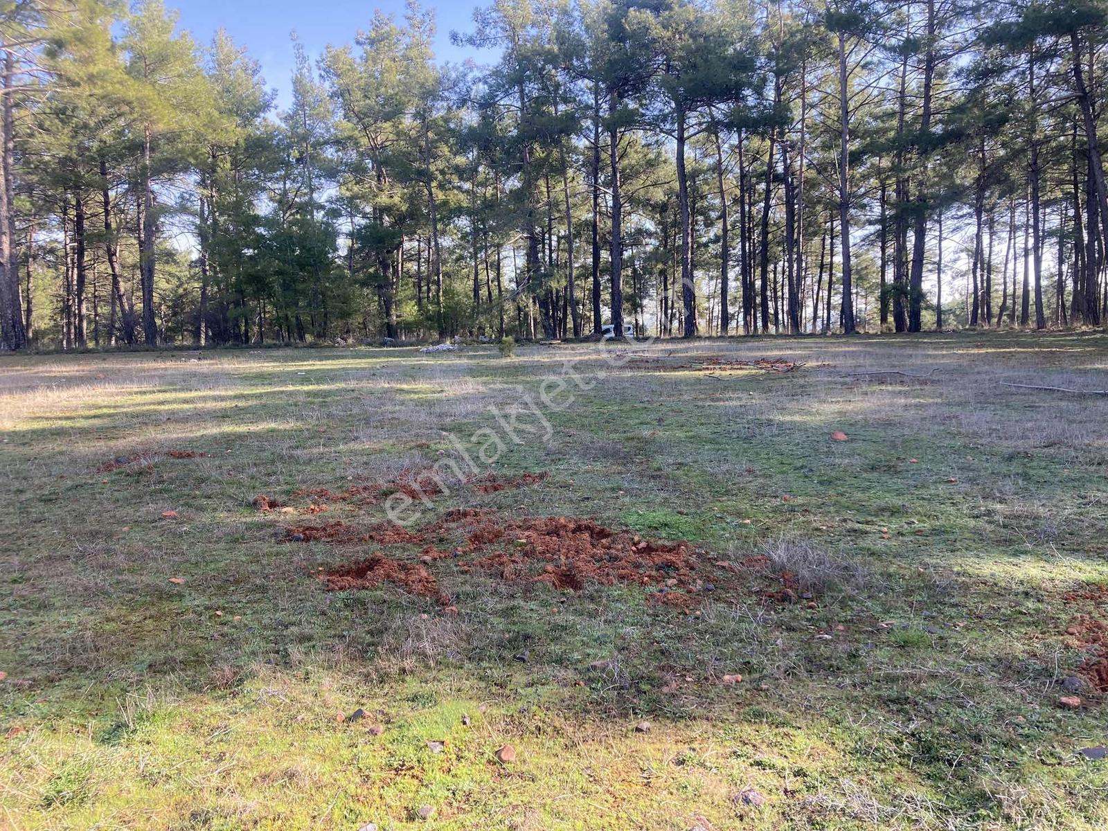 Muğla Menteşe Kuyucak'ta 1430m2 Satılık Tarla - Görsel 17