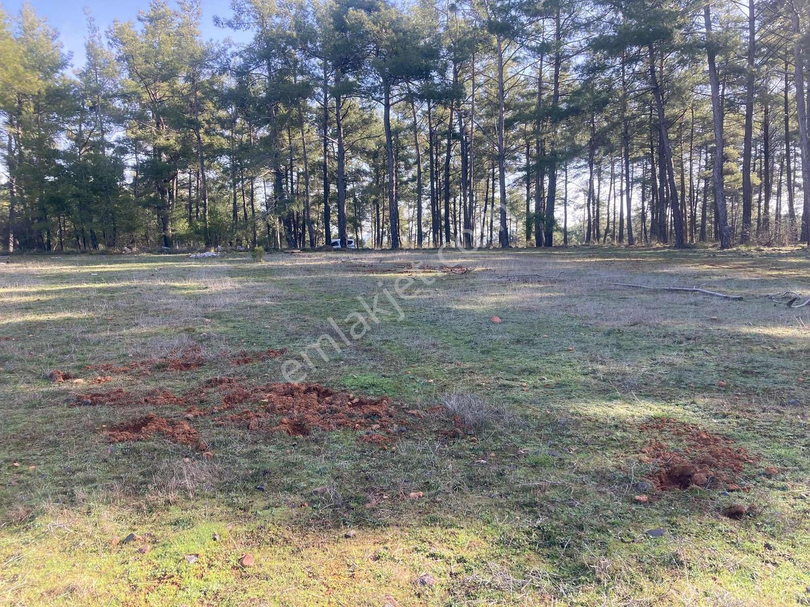 Muğla Menteşe Kuyucak'ta 1430m2 Satılık Tarla - Görsel 22