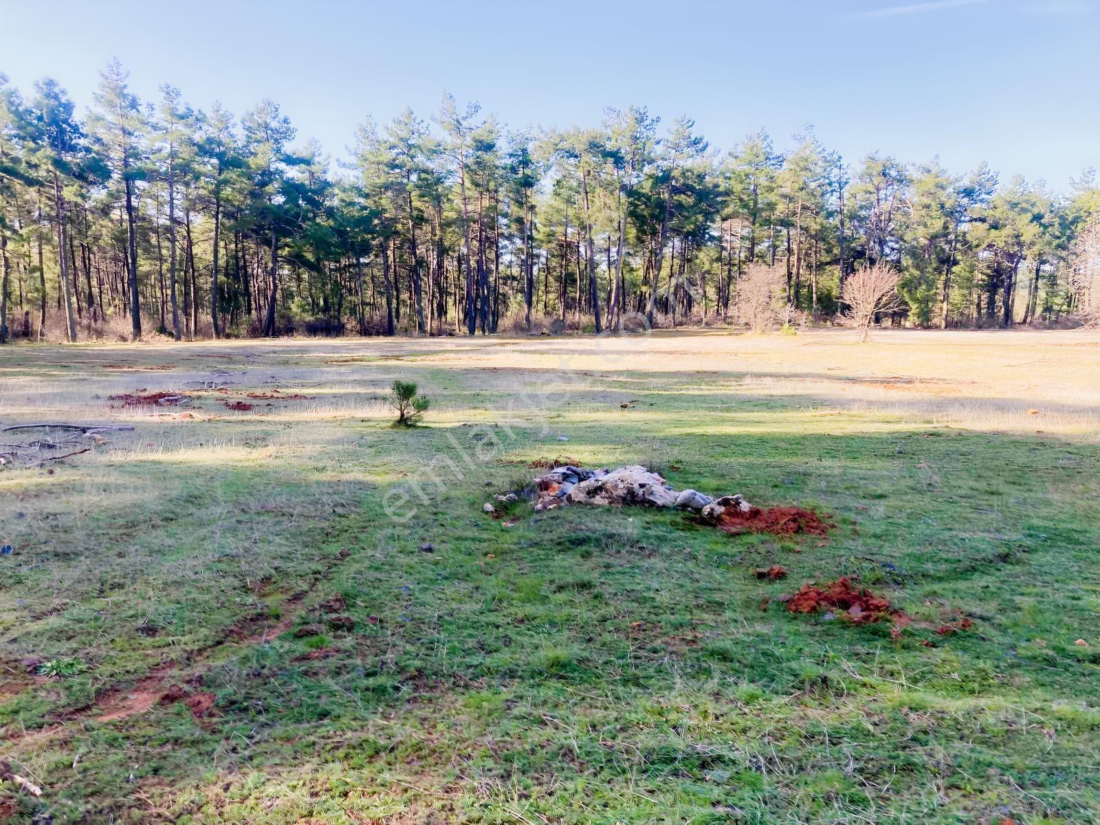 Muğla Menteşe Kuyucak'ta 1430m2 Satılık Tarla - Görsel 35