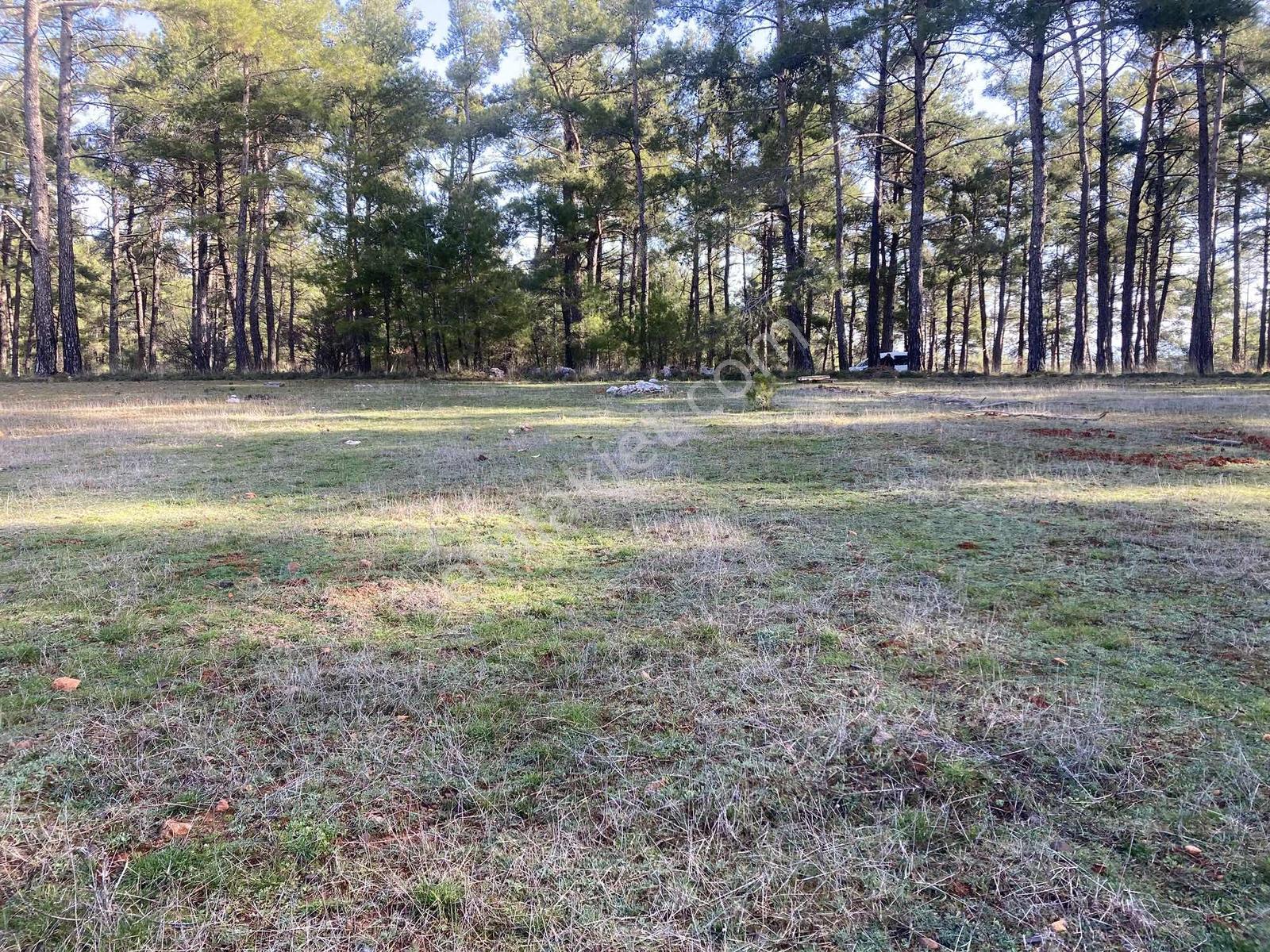 Muğla Menteşe Kuyucak'ta 1430m2 Satılık Tarla - Görsel 11