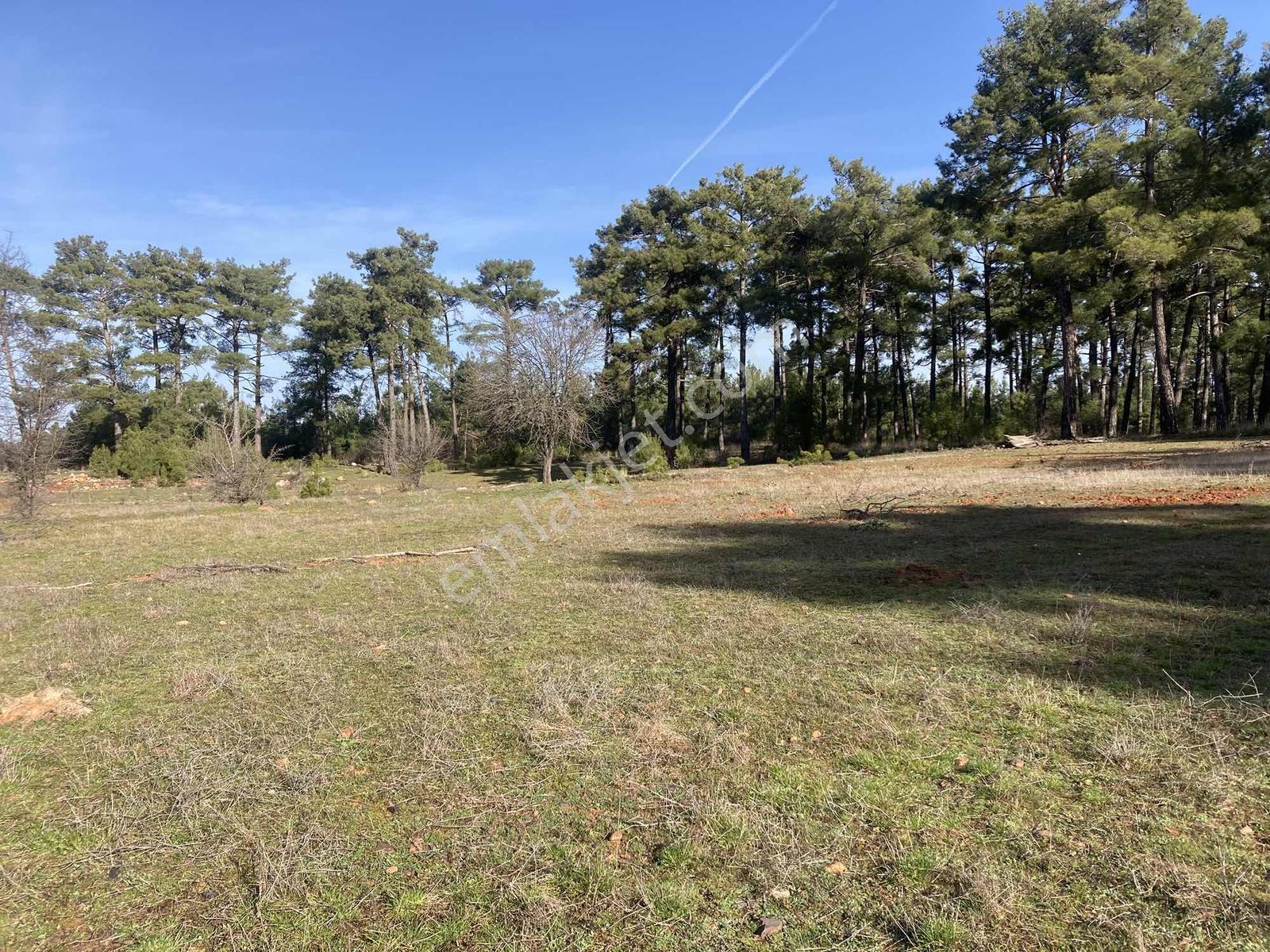 Muğla Menteşe Kuyucak'ta 1430m2 Satılık Tarla - Görsel 6