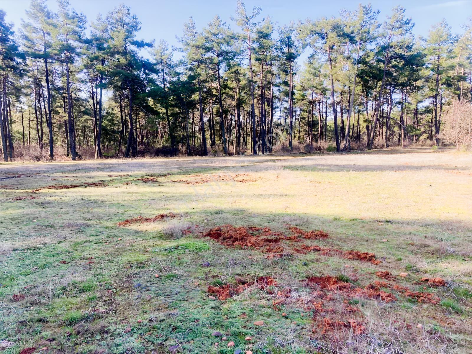 Muğla Menteşe Kuyucak'ta 1430m2 Satılık Tarla - Görsel 10