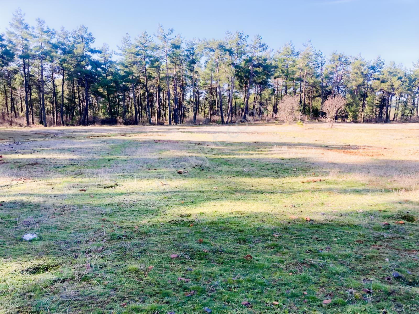 Muğla Menteşe Kuyucak'ta 1430m2 Satılık Tarla - Görsel 33