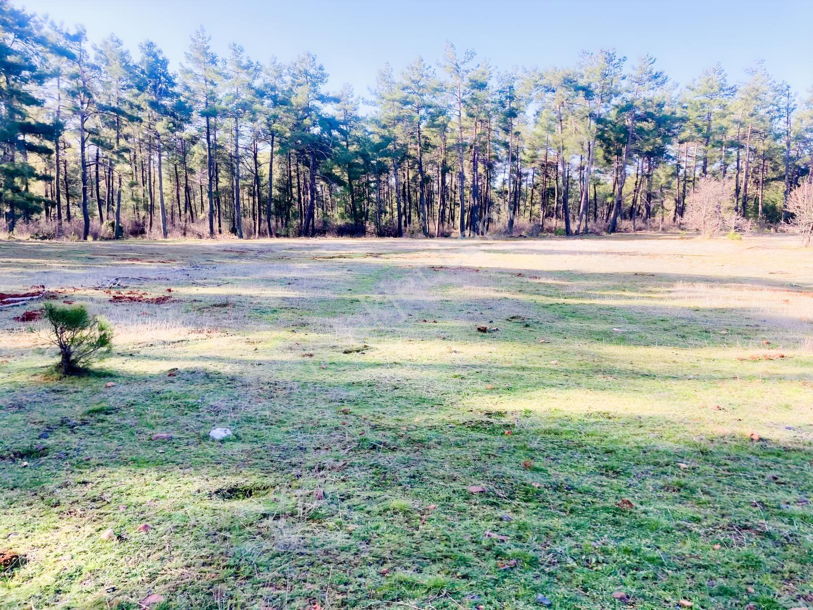 Muğla Menteşe Kuyucak'ta 1559m2 Satılık Tarla - Görsel 2