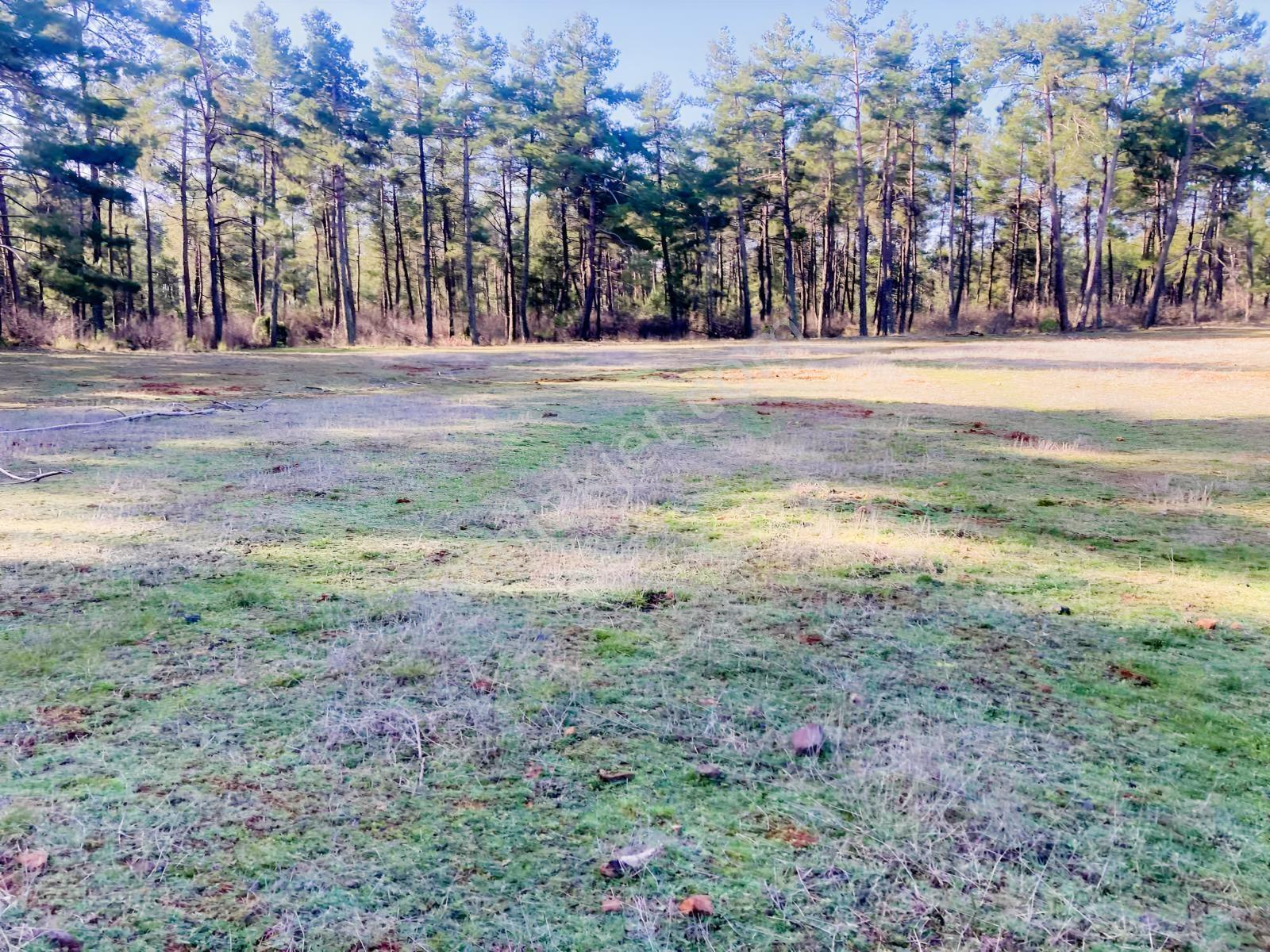 Muğla Menteşe Kuyucak'ta 1559m2 Satılık Tarla - Görsel 11