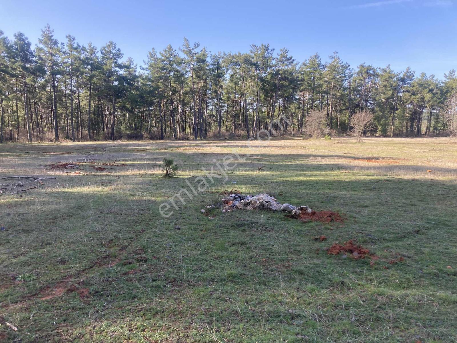 Muğla Menteşe Kuyucak'ta 1559m2 Satılık Tarla - Görsel 34