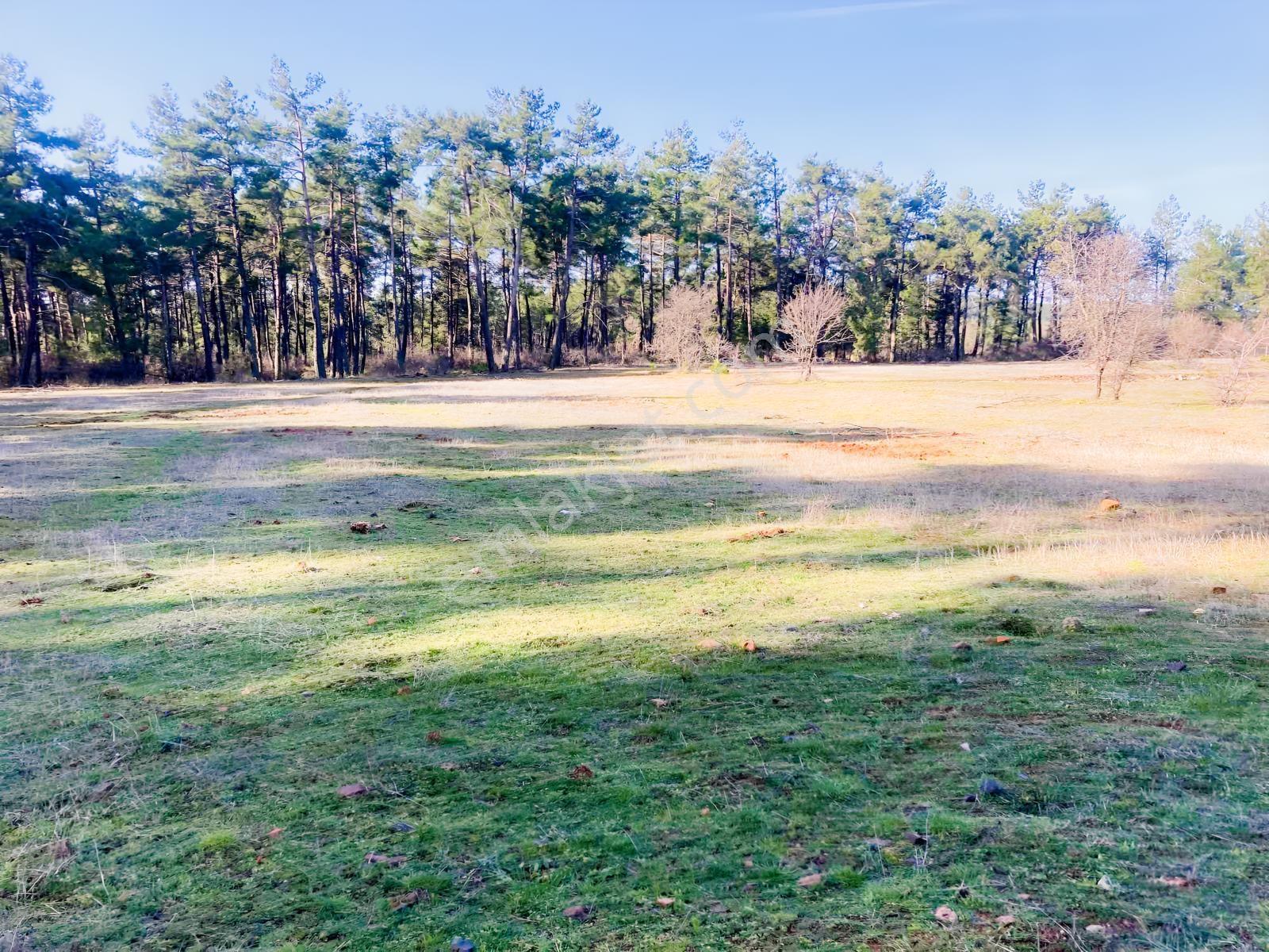 Muğla Menteşe Kuyucak'ta 1559m2 Satılık Tarla