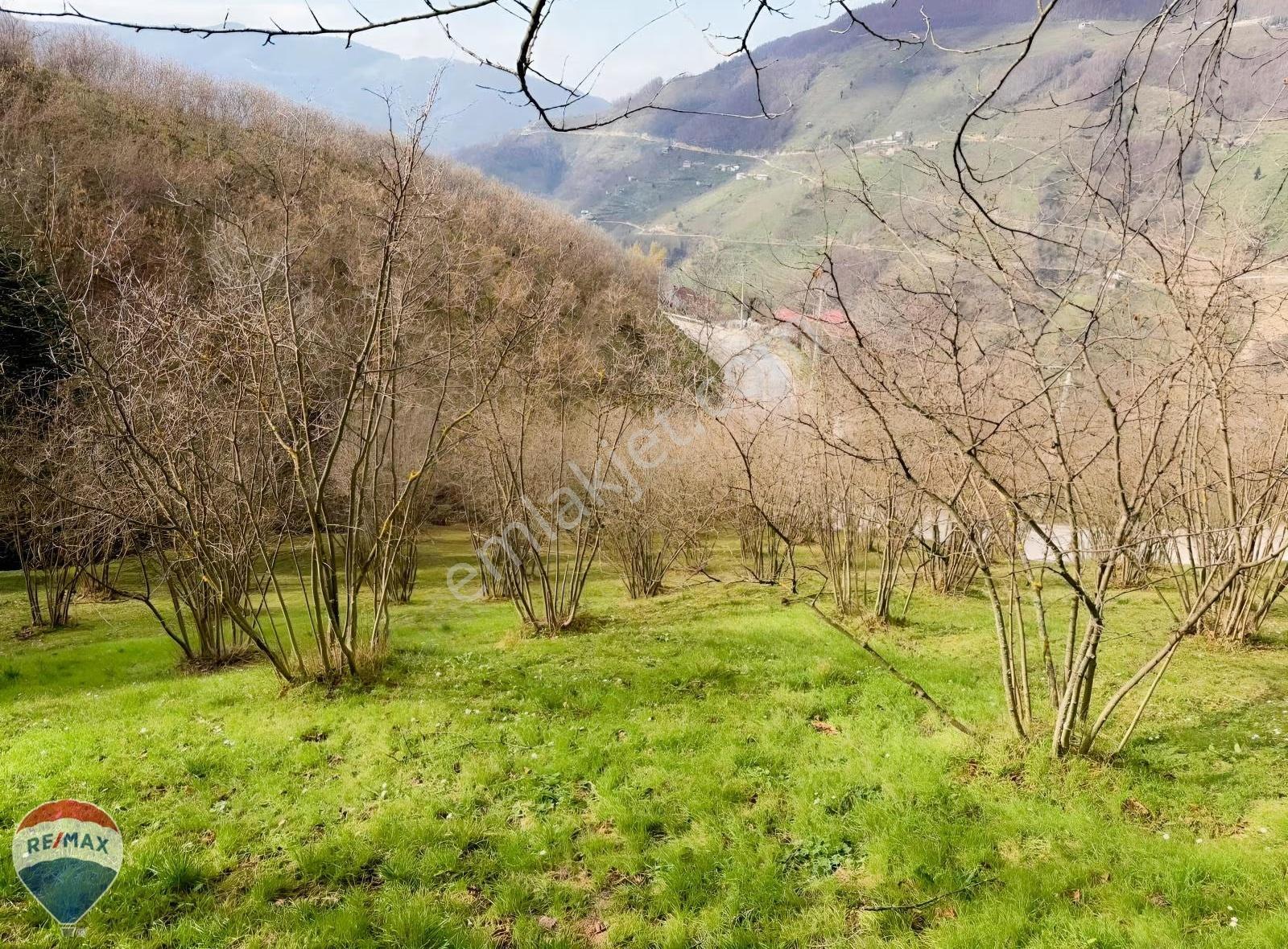 Remax Mavi'den Hendek'te 3044 M2 %40 İmarlı Yola Cepheli Arsa - Görsel 4