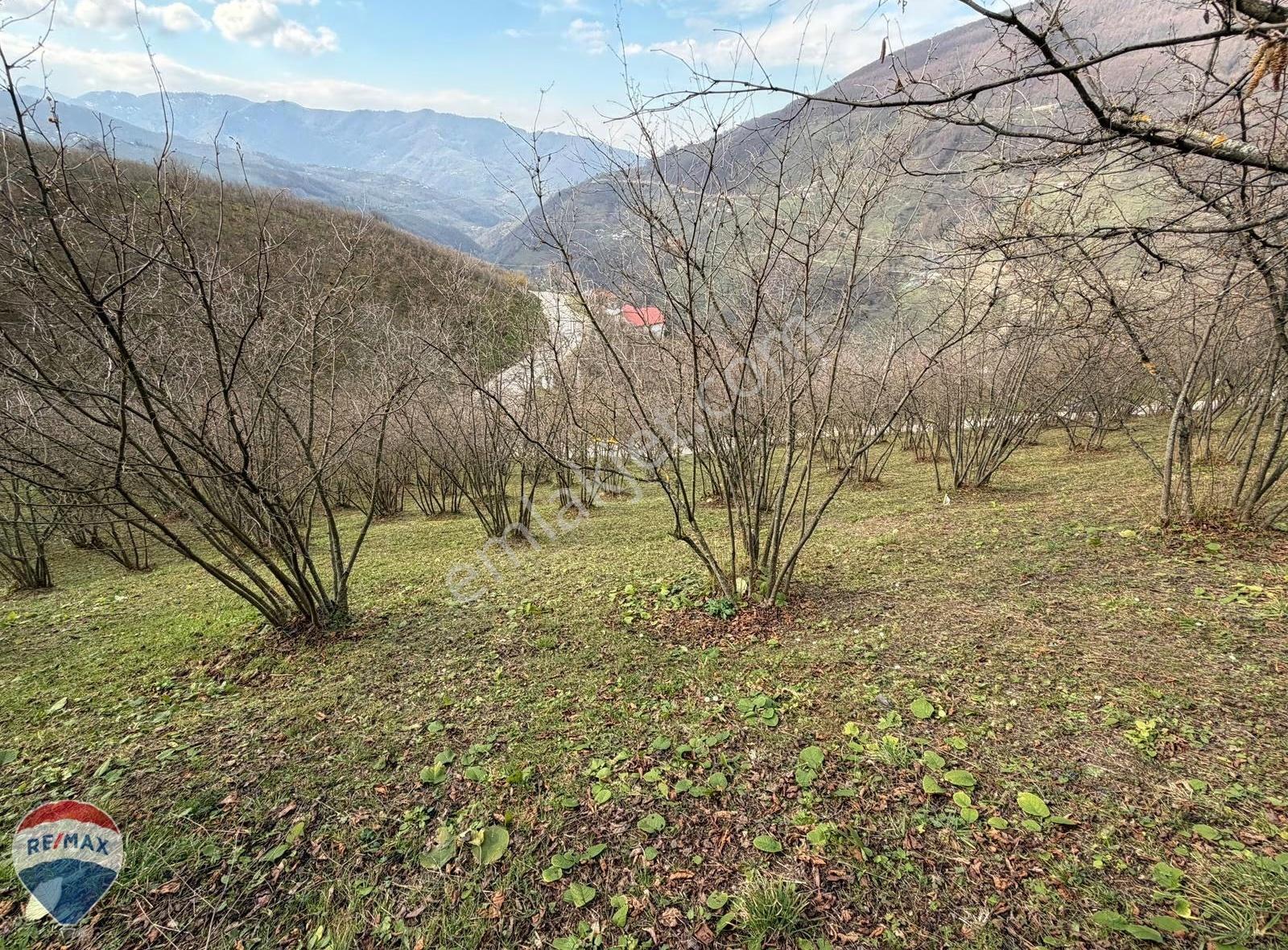 Remax Mavi'den Hendek'te 3044 M2 %40 İmarlı Yola Cepheli Arsa - Görsel 11