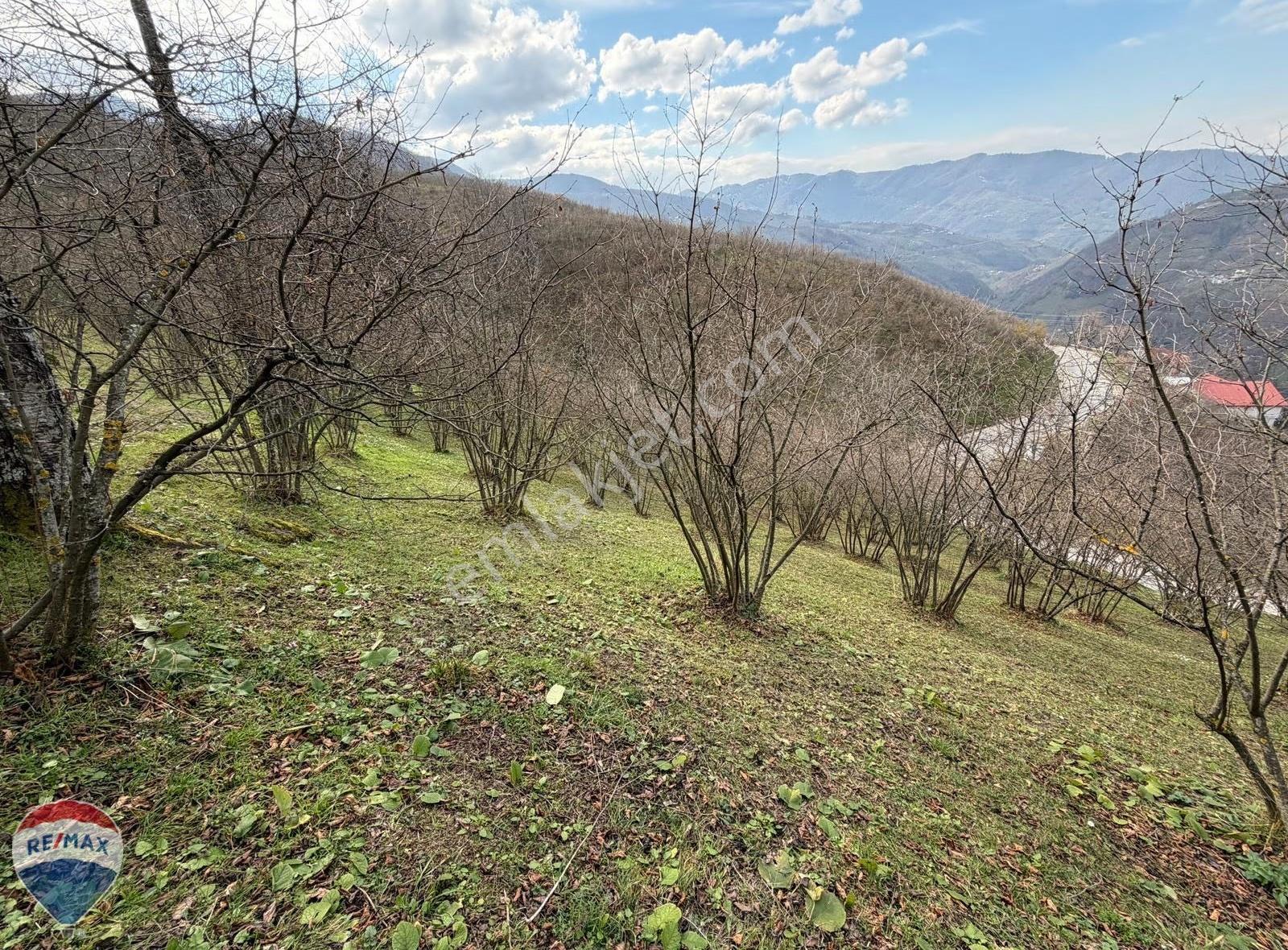 Remax Mavi'den Hendek'te 3044 M2 %40 İmarlı Yola Cepheli Arsa - Görsel 12