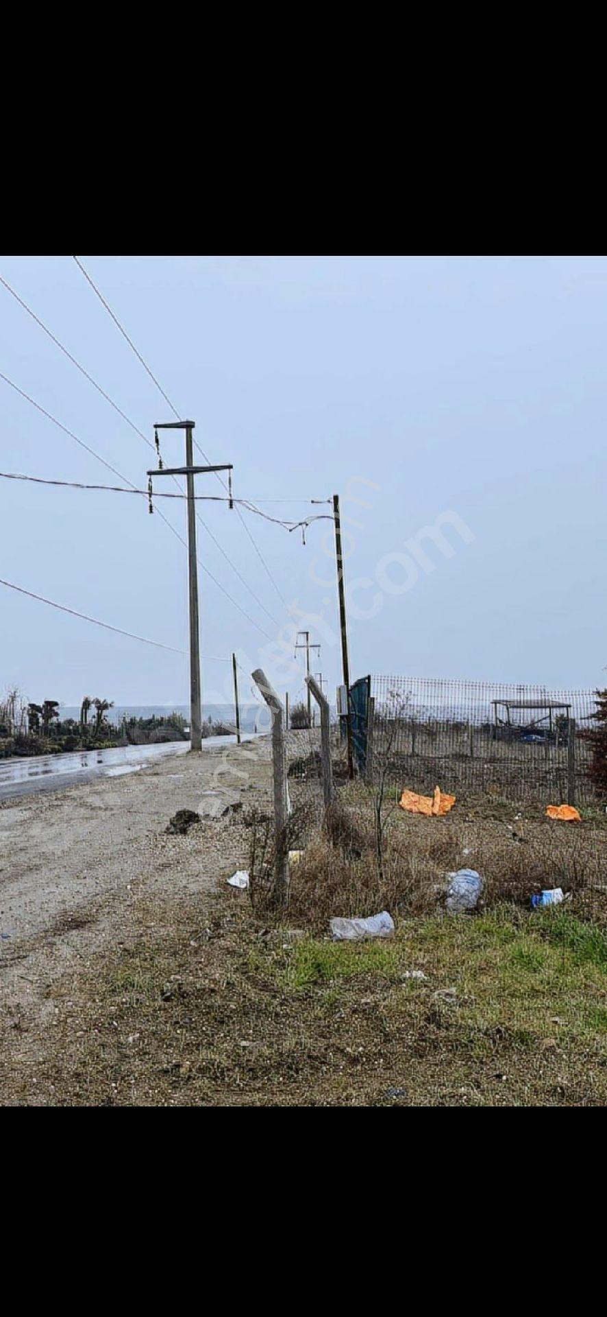 Büyükkılıçlı Araç Takaslı Arsa