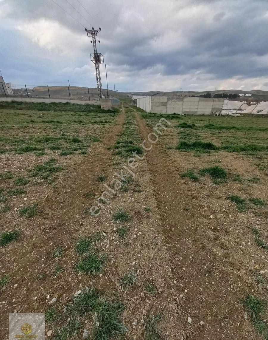 Hisar Mahallesinde İstanbul-bursa Yolu Cepheli Satılık Uygun Tarla - Görsel 21