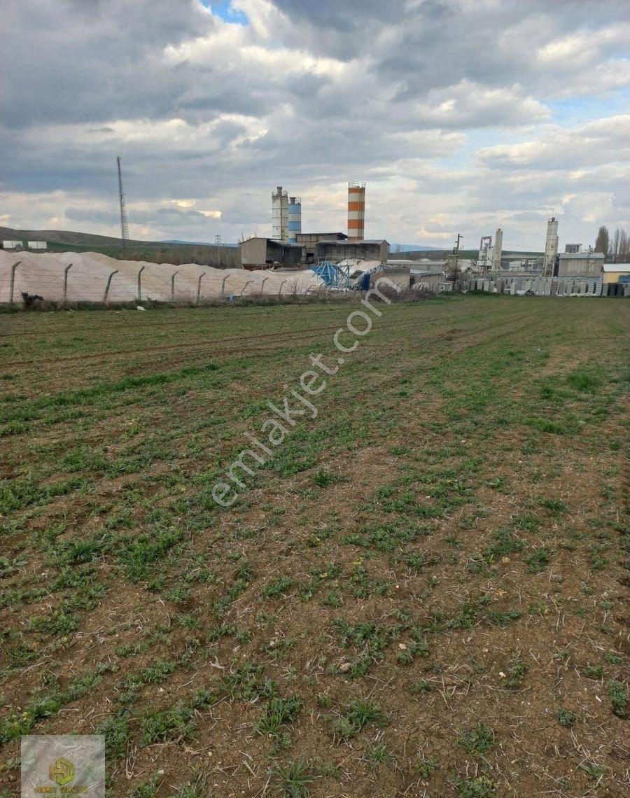 Hisar Mahallesinde İstanbul-bursa Yolu Cepheli Satılık Uygun Tarla - Görsel 22
