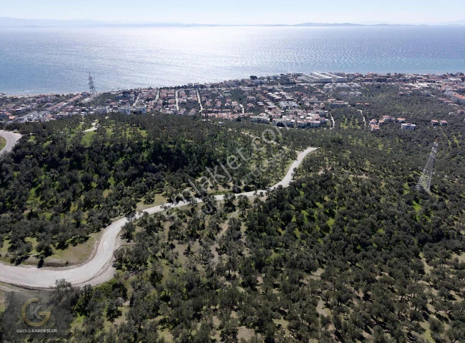 Tekyetki Güçlü Kardeşler Yola Cepheli Manzaralı Fırsat Zeytinlik - Görsel 14