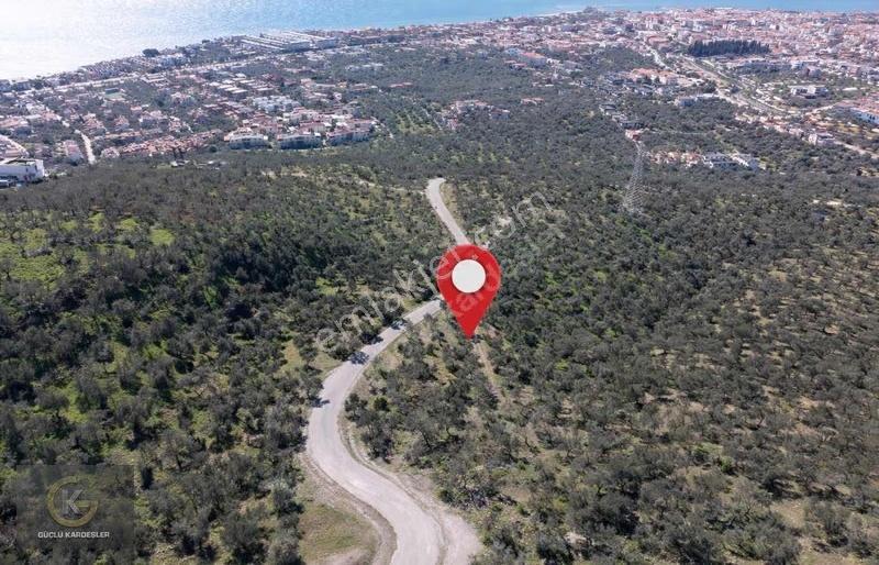 Tekyetki Güçlü Kardeşler Yola Cepheli Manzaralı Fırsat Zeytinlik - Görsel 4