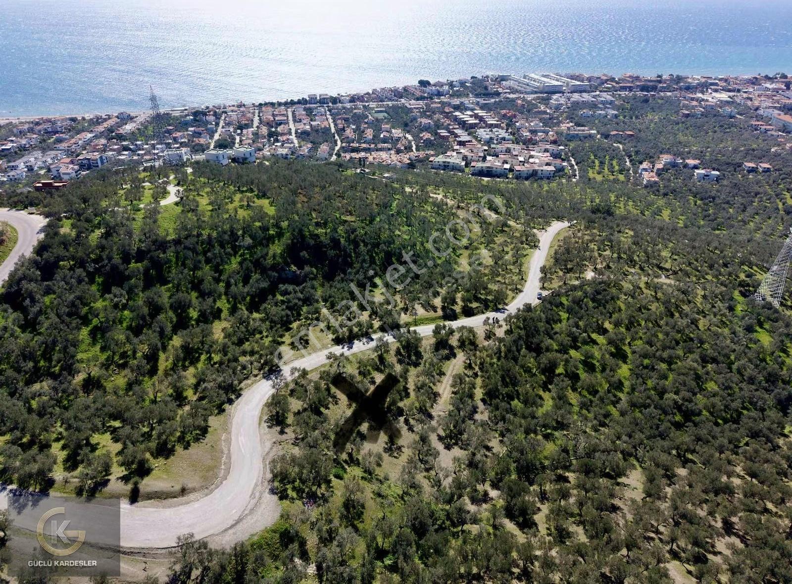 Tekyetki Güçlü Kardeşler Yola Cepheli Manzaralı Fırsat Zeytinlik - Görsel 9