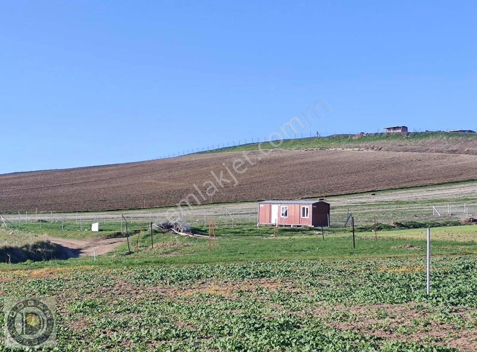 Marmaraereğilisi Çeşmeli De 500 Metre Sadece 425.000 Bin Tl - Görsel 20